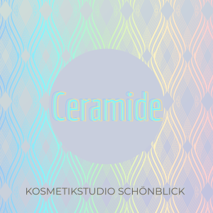 Ceramide Lipide Fette Inhaltsstoff Kosmetikstudio Schönblick